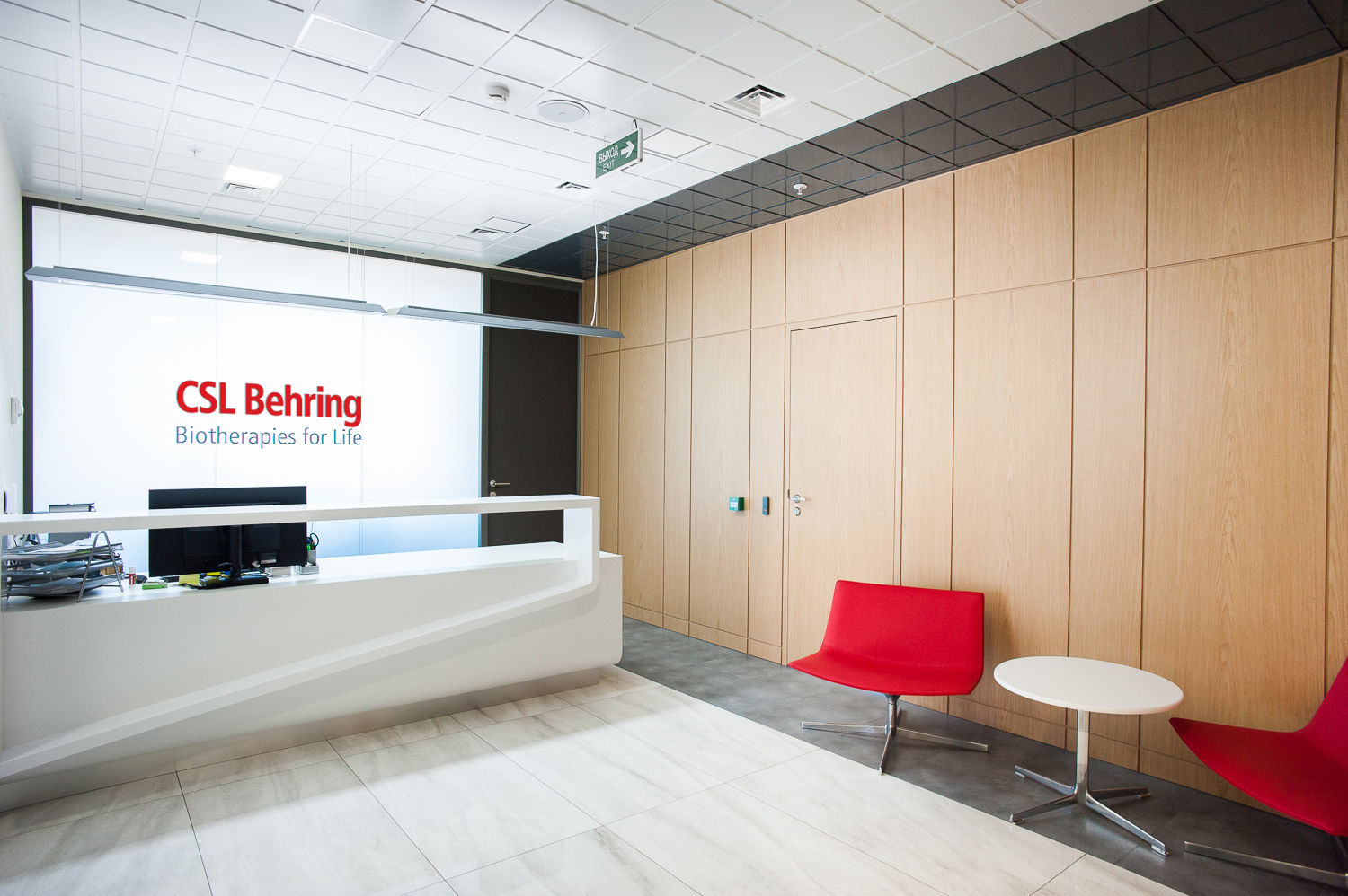 Фото Шпонированные двери Regina