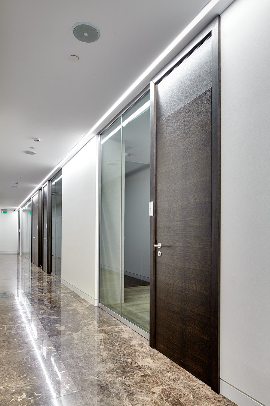 Фото Шпонированные двери Regina