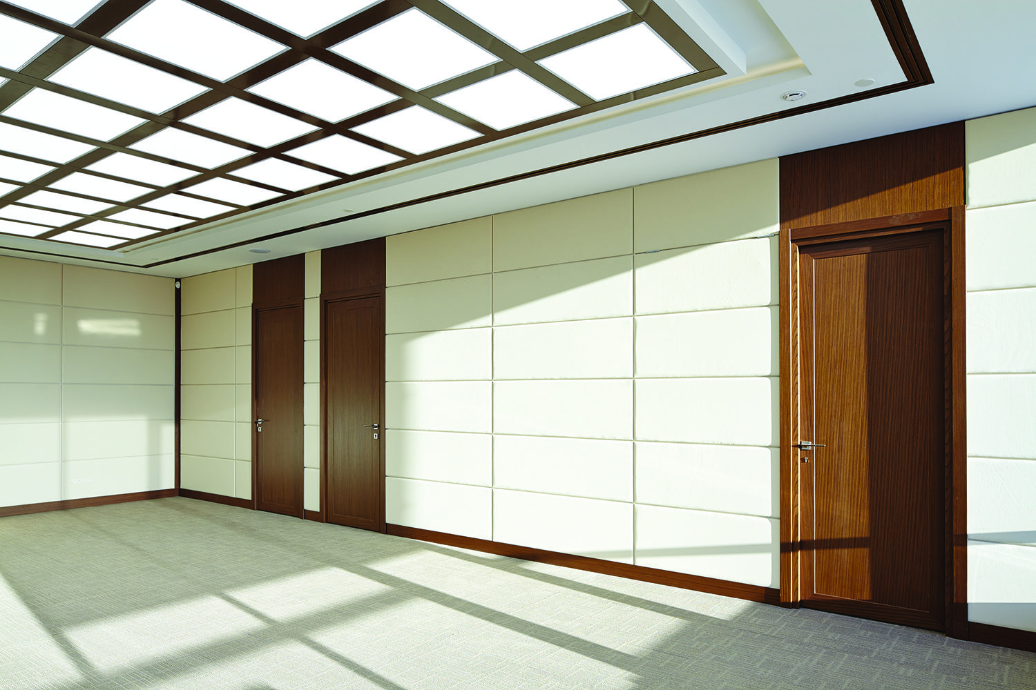 Фото Шпонированные двери Regina