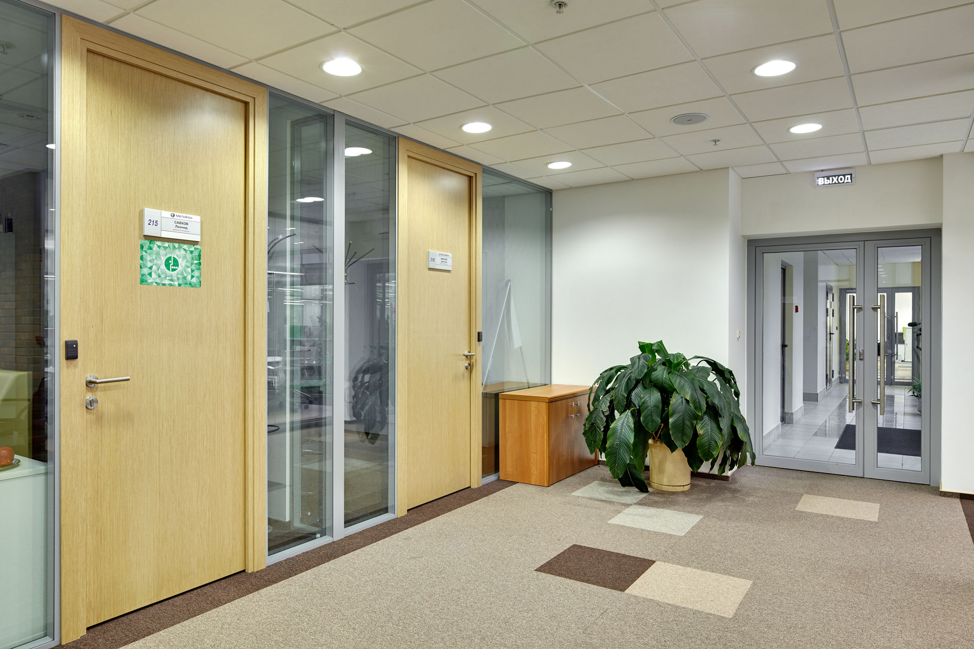 Фото Шпонированные двери Regina