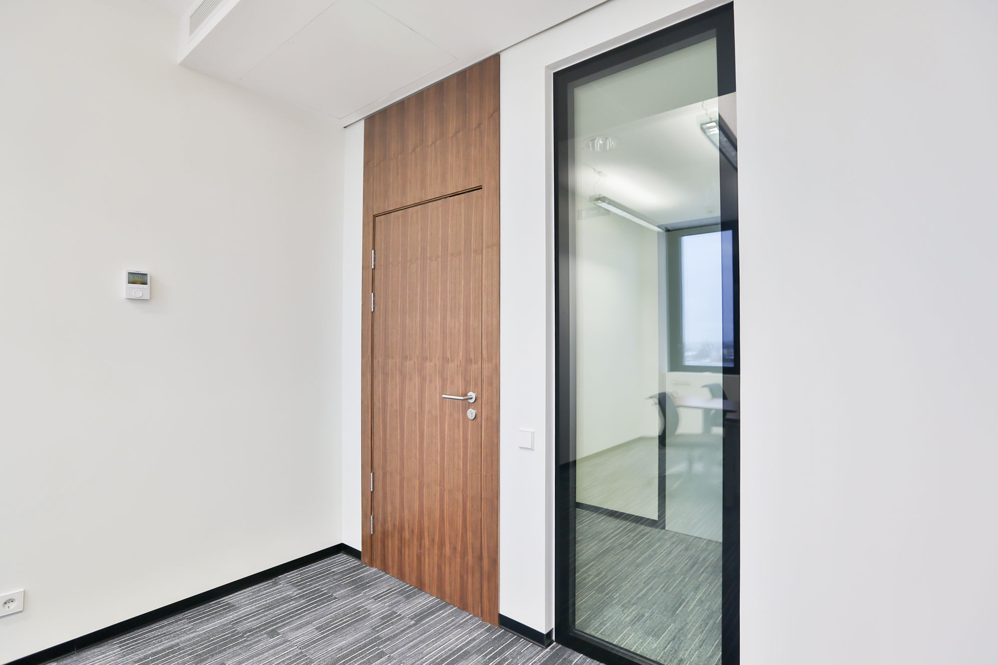 Фото Шпонированные двери Regina